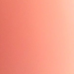 Meet your Posher, Cara